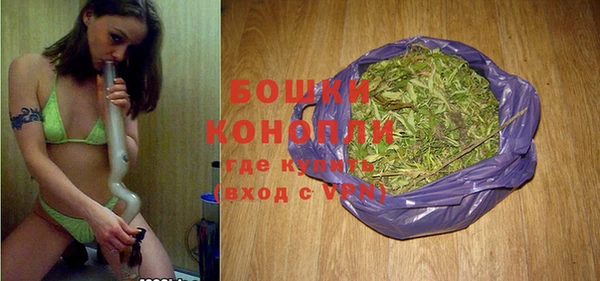 индика Заволжье