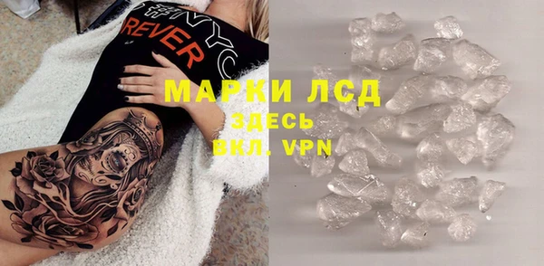 индика Заволжье