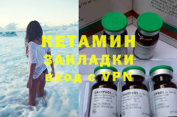 индика Заволжье