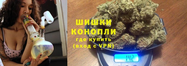 индика Заволжье