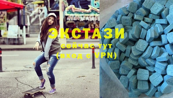 индика Заволжье