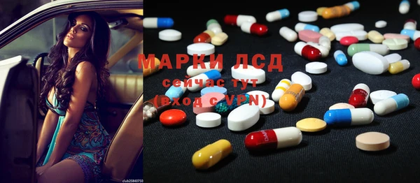 индика Заволжье