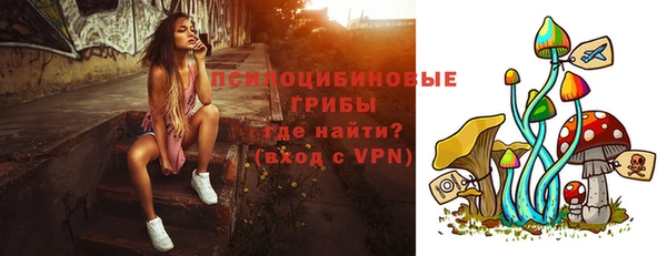 мяу мяу мука Заводоуковск
