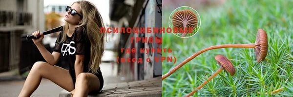 мяу мяу мука Заводоуковск