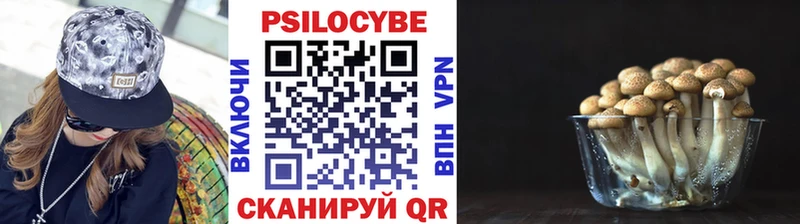 Псилоцибиновые грибы Cubensis  купить закладку  KRAKEN как войти  Исилькуль 